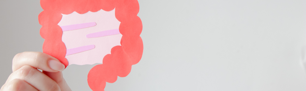 What is bowel cancer?